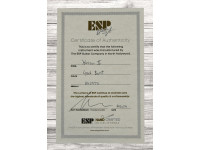 ESP USA HORIZON II FM EMG BH LYNCHBURST ESP USA HORIZON II FM EMG BH LYNCHBURST